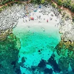 Le Di Palma