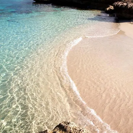 Le Di Palma San Vito Lo Capo